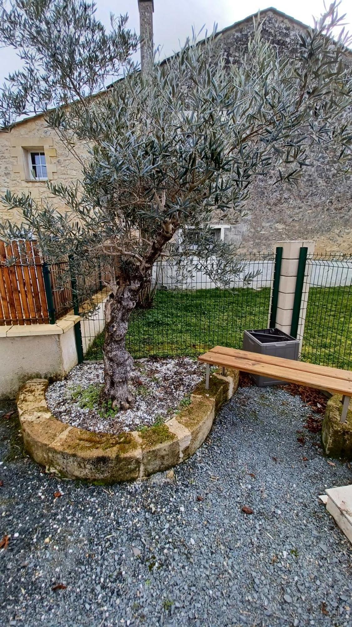 Gite Mimi Saint-Sulpice-de-Faleyrens Exterior photo